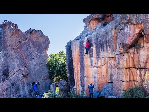 The Smile 8C/V15 (UNCUT)
