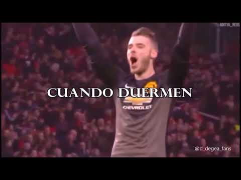 Dear Hardwork - David De Gea