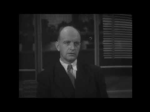 Interview mit Heinz Linge.