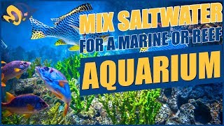 Are You Mixing Saltwater The Right Way? BRStv How-Tos
