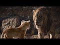 The Lion King - Op Zoek Naar Een Brul (NL gesproken) - Disney NL