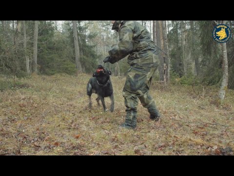 SBK Funktionell lydnad avsnitt 3