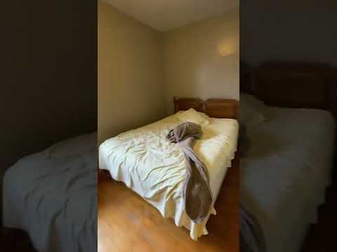 1832-34 N. Warren Ave - Video 2 of 2