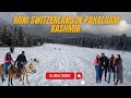 India ka Mini Switzerland in Pahalgam Kashmir | Baisaran Valley | jammu & Kashmir trip| #EP-9