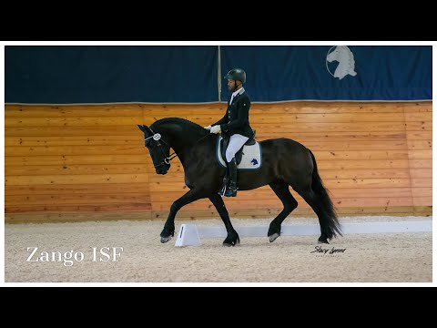 Zango ISF,  Champion Ride, 2019 FHANA IBOP Dressage at Iron Spring Farm