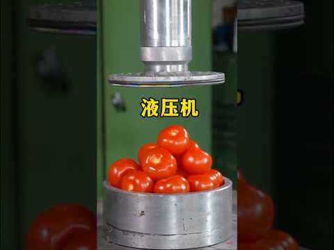 液压机的压力有多强？有什么东西能顶得住液压机吗？
