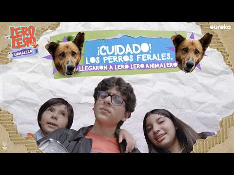 Lero, Lero, Animalero, Capitulo 5 - Los perros ferales, una especie que han estado por años alejados de los humanos