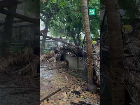 Teto da sede do Projeto 4 Varas desaba após chuva intensa em Fortaleza
