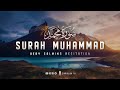 Surah Muhammad سورة محمد Calm Your Heart With Beautiful Recitation Zikrullah TV