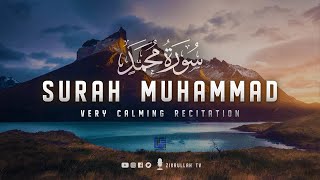 Surah Muhammad (سورة محمد) - Calm your hea