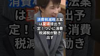 消費税減税法案は夏頃提出予定！！　ついに消費税減税が動き出す