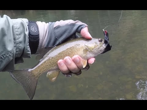 Part 15: How to Fly Fish with a Spinning Rod - Bass