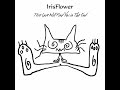 IrisFlower - True Love Will Find You in The End (Daniel Johnston Cover)