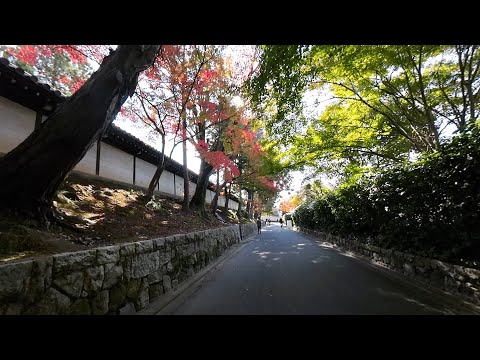 【Japan Walk】Tofukuji, Kyoto: Walk from JR Tofuku-ji Sta. to Tofuku-ji.