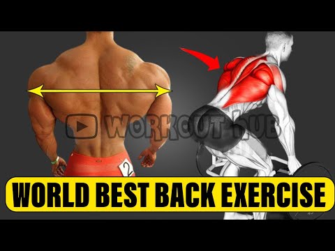 7 Super Effective  Exercises To Build A Big Back
