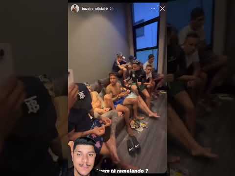 Buzeira called the rats to the ideas #rats #buzeira #canaldojf #natadesp