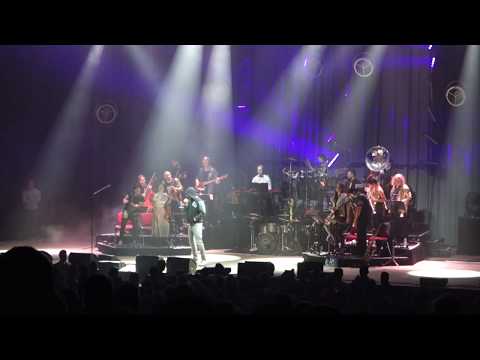 Jan Böhmermann & das Rundfunk-Tanzorchester Ehrenfeld - Ich hab Polizei live in Bochum am 11.05.2018