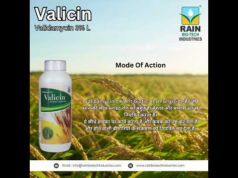 Valicin Systemic Antibiotic