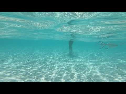 Radistai DJs feat. Hayley May - Closer To You (Maldives 2019 music video)