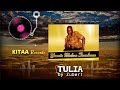 Tulia - by Zuberi Official Audio