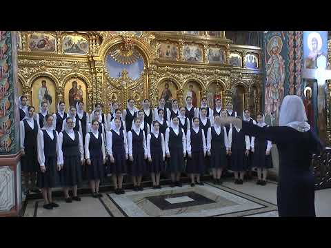 Corul ASCENSIO - Rugaciune, Ștefan Andronic