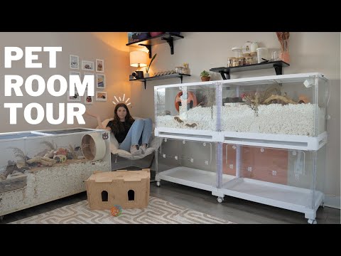 A Complete Tour of Our Pet Room: Rabbits and Hamsters