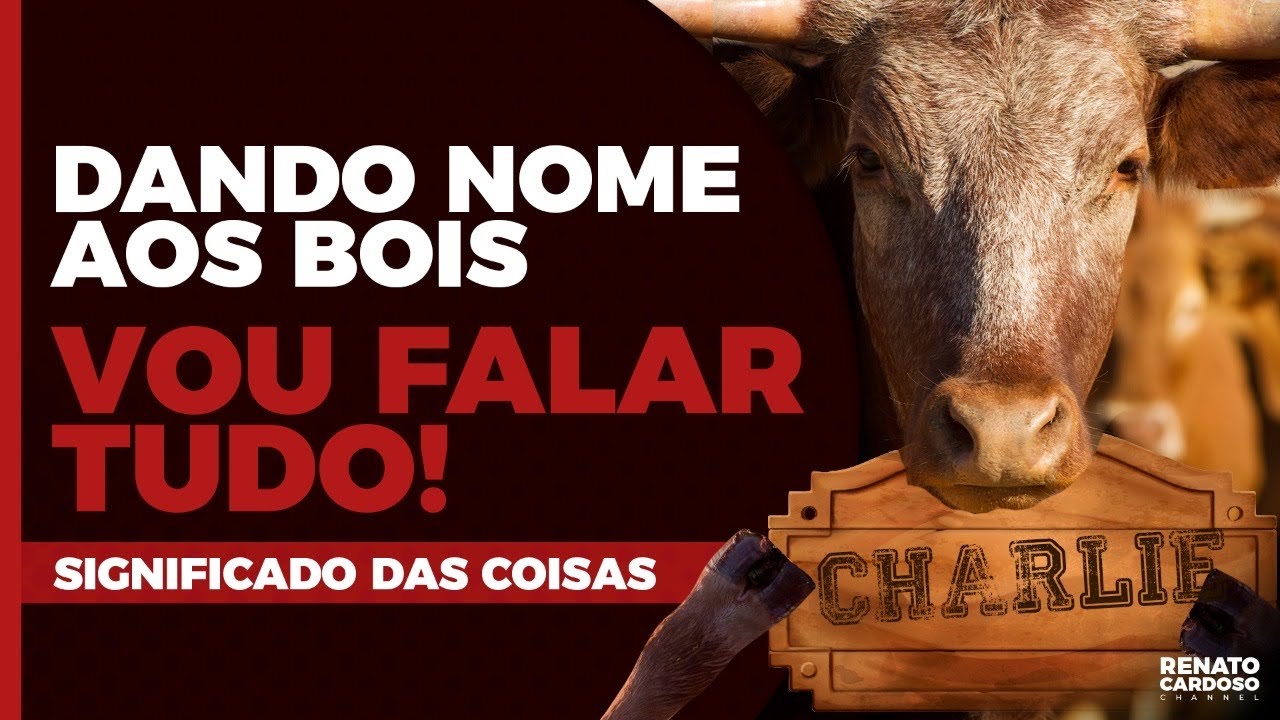 DANDO NOME AOS BOIS, VOU FALAR TUDO (SIGNIFICADO DAS COISAS)