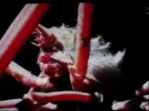 welur   new song {leaked}