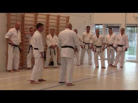 JOSHINKAN ISSHINRYU KARATE KOBUDO ASSOCIATION 3/6 - Practice Makes Perfect