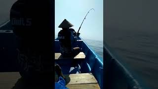 Download lagu FISHING MANIA STRIKE GUYS MONSTER FISH WITH AN EXTRAORDINARY PULL mp3