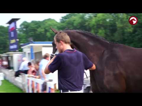 Fürstin Gesine | Oldenburger Elite-Stutenschau | Landesturnier Rastede 2017