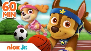 PAW Patrol Sports Rescues &amp; Adventures! 🏀 w/ Chase &amp; Skye | 60 Minute Compilation | Nick Jr.