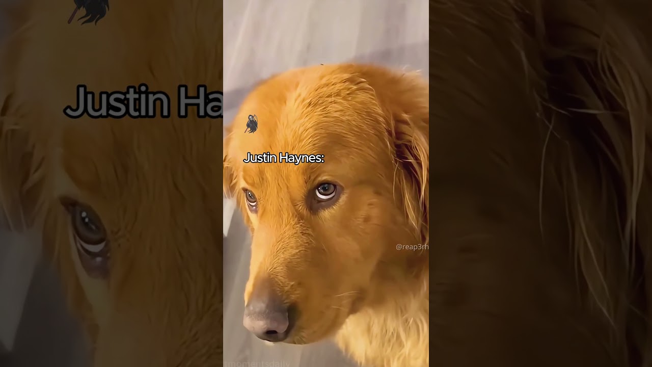 Bro was so livid 😭 #nfl