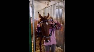 Ohlávka fleece s vodítkem Kentaur