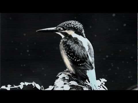 RASA SERRA - Oi girioj [Acappella] [ Lithuanian Folklore ] [ www.rasaserra.com ]