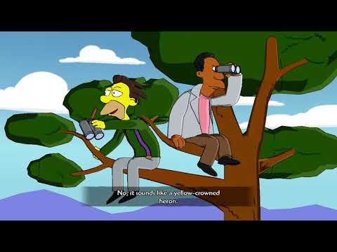SAVING LENNY AND CARL (SIMPSONS GAME)