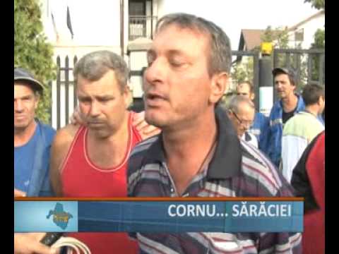 Cornu saraciei