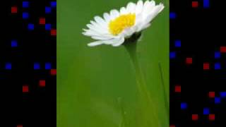 Owl City - The Airway + lyric&#39;s