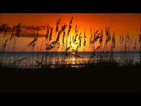 Oleg Soul - Sense (Oleg B Remix)