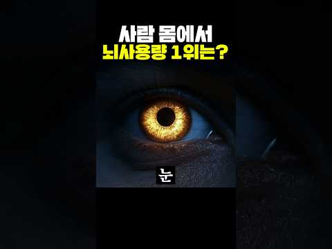 사람의 몸에서 뇌 사용량 1위는?