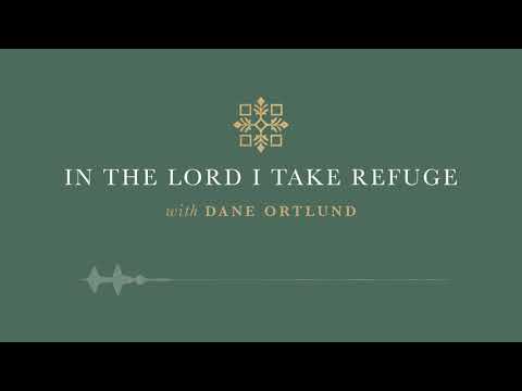In the Lord I Take Refuge: Psalm 12 - The Faithful Have Vanished
