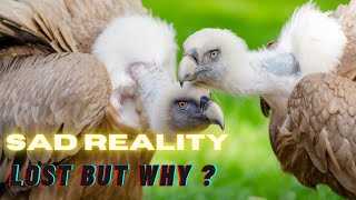 Vultures are Dying..| What will happen if VultureS get EXTINCT ? | Critically Endangered Species ||