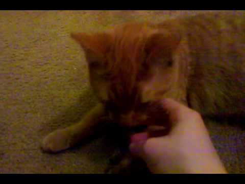 Eloise, Up Close & Personal