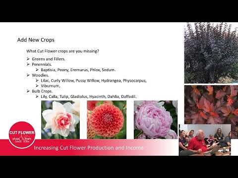 Increasing Cut Flower Production & Income - Ball Seed Customer Days 2022 thumbnail