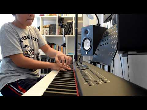 Donkey March / Flea Waltz  - piano - Elias Coman