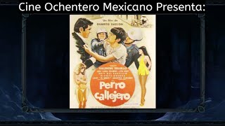 Review Pelicula Mexicana de los 80: Perro Callejer