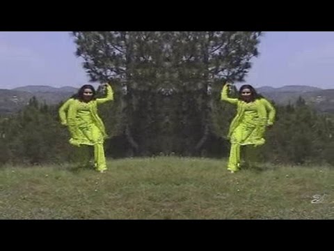Da Meezan Shah - Nabila Khan - Pashto Regional Song With Dance