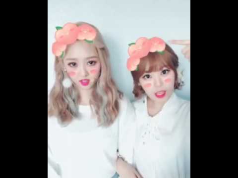 170226 High.D & New Sun - Instagram Video