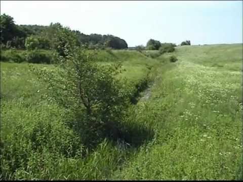 Godstog og regionaltog ved Lejre 2002