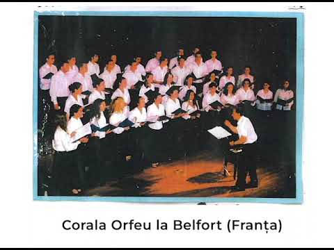 Corala Orfeu (Deva) - Sârba pe loc
